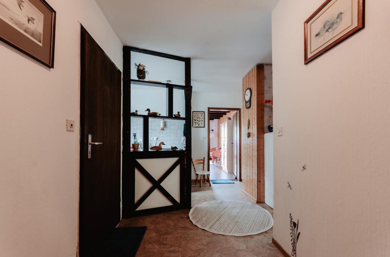 Apartamento Olifant In Osterode Osterode am Harz Exterior foto